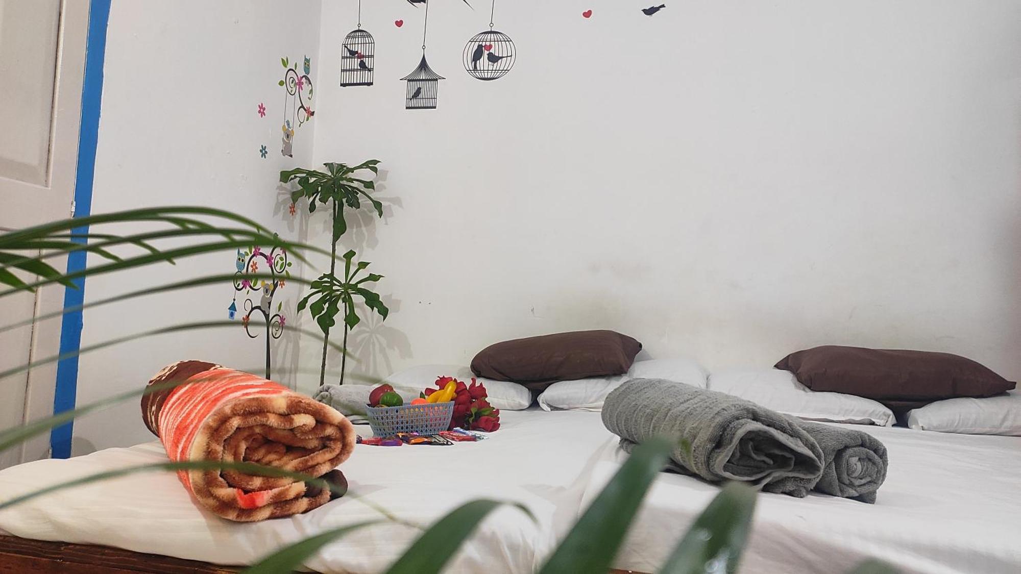 מלון Narasimharaja Puram Adh Amilia Gardens מראה חיצוני תמונה